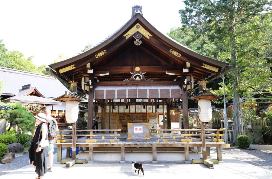 10박11일 오사카 교토 여행5_49.jpg