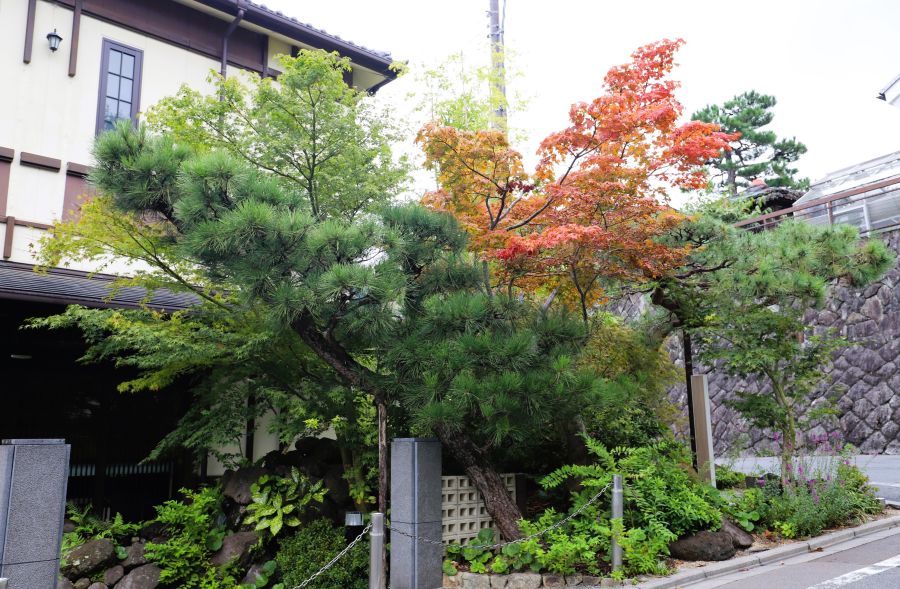 10박11일 오사카 교토 여행6(스압)_11.jpg