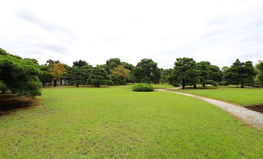 10박11일 오사카 교토 여행7_11.jpg