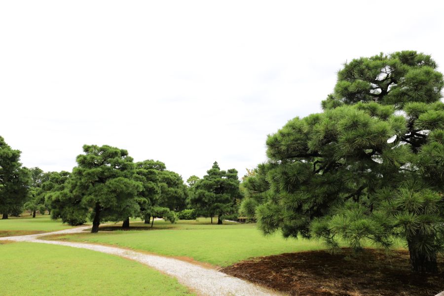 10박11일 오사카 교토 여행7_12.jpg