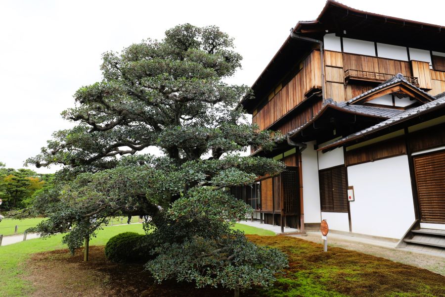 10박11일 오사카 교토 여행7_29.jpg