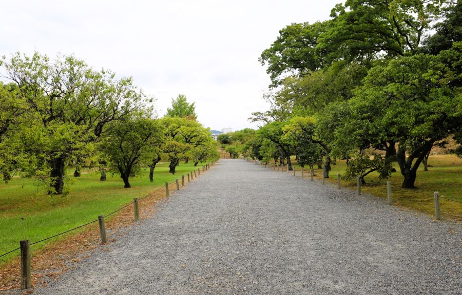 10박11일 오사카 교토 여행7_39.jpg