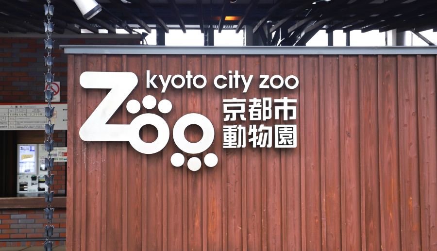 10박11일 오사카 교토 여행7_55.jpg