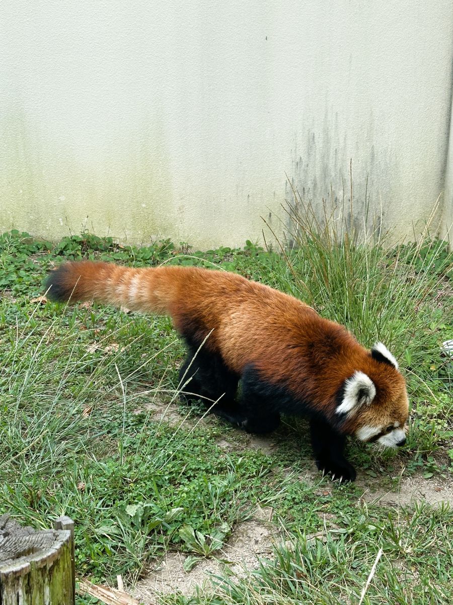 10박11일 오사카 교토 여행7_67.jpg