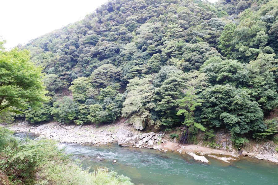 10박11일 오사카 교토 여행8(스압)_12.jpg