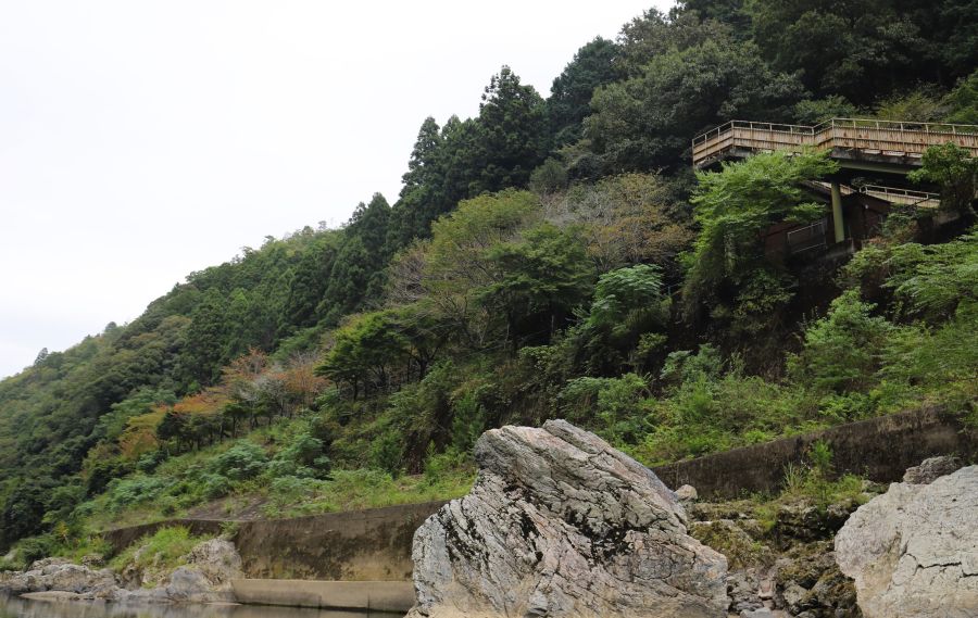 10박11일 오사카 교토 여행8(스압)_29.jpg