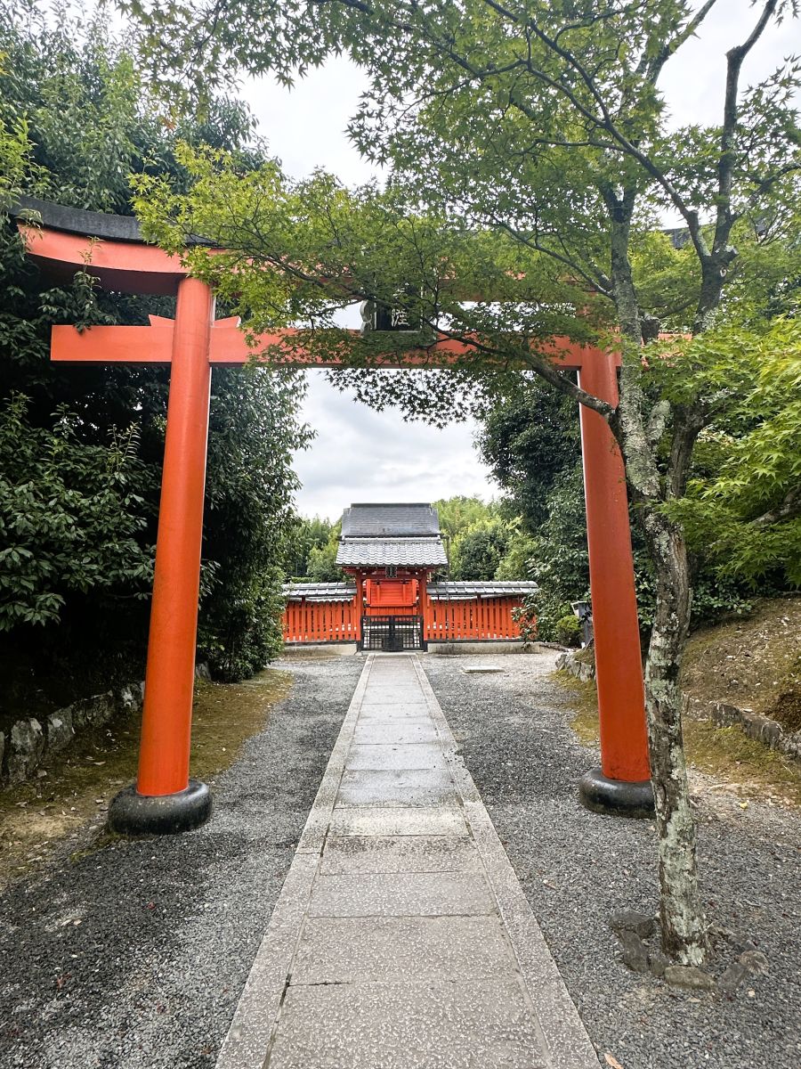 10박11일 오사카 교토 여행8(스압)_73.jpg