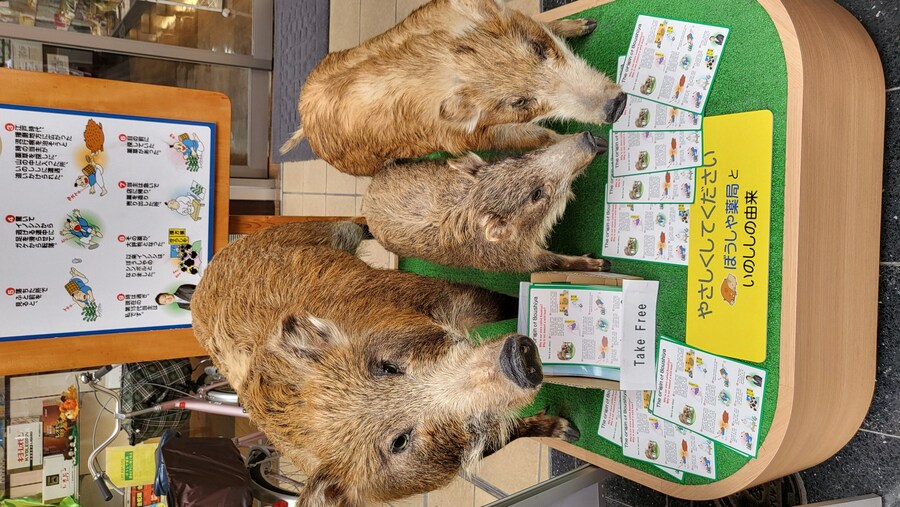 오사카 간사이 여행(2024.09.22~09.27) 5~6일차 -完- (스압)_6.jpg