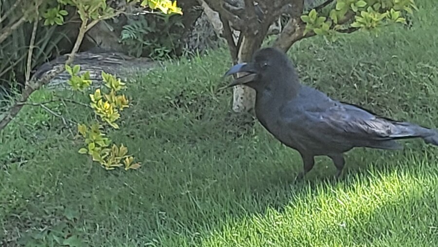 오사카 간사이 여행(2024.09.22~09.27) 5~6일차 -完- (스압)_44.jpg