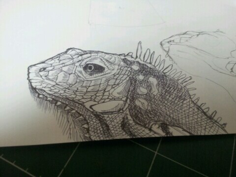 (스압주의) 제가 그린 동물 그림 올려봅니다_4.jpg