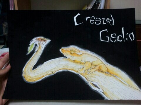 (스압주의) 제가 그린 동물 그림 올려봅니다_8.jpg