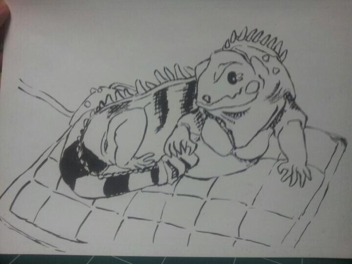 (스압주의) 제가 그린 동물 그림 올려봅니다_22.jpg