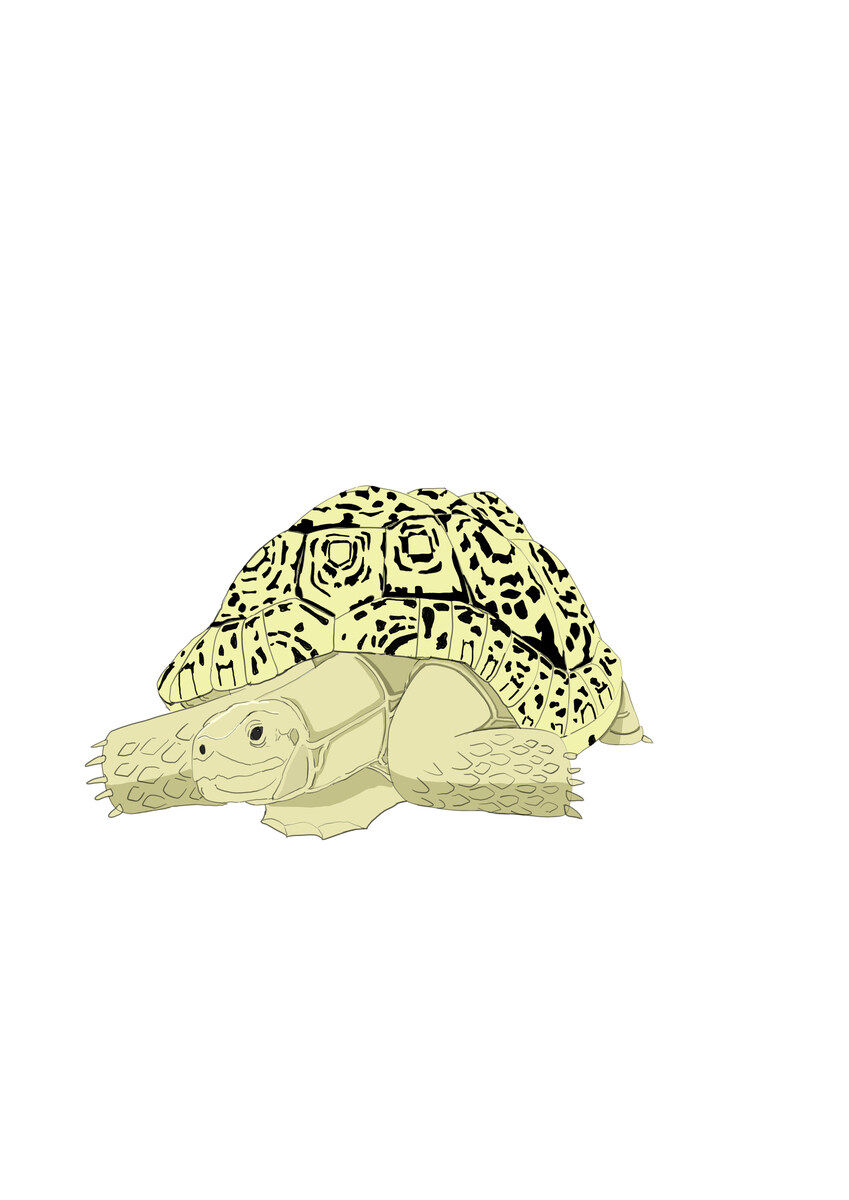 (스압주의) 제가 그린 동물 그림 올려봅니다_254.jpg