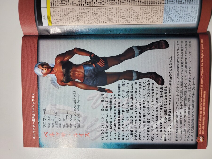 버츄어 파이터 4_17.jpg