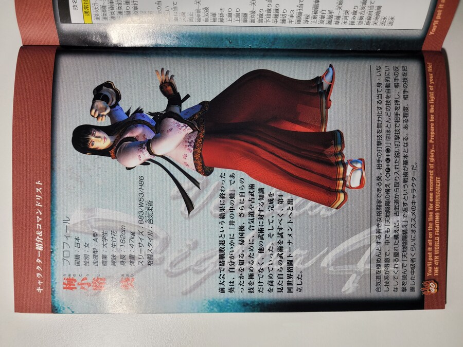 버츄어 파이터 4_15.jpg