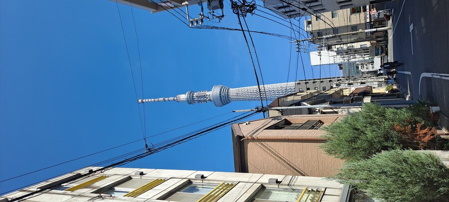 홀로 떠난 첫 해외여행(도쿄 4박 5일)-2_47.jpg