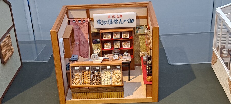 홀로 떠난 첫 해외여행(도쿄 4박 5일)-3_61.jpg