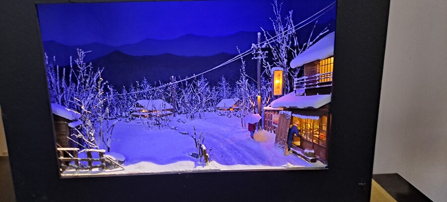 홀로 떠난 첫 해외여행(도쿄 4박 5일)-3_78.jpg