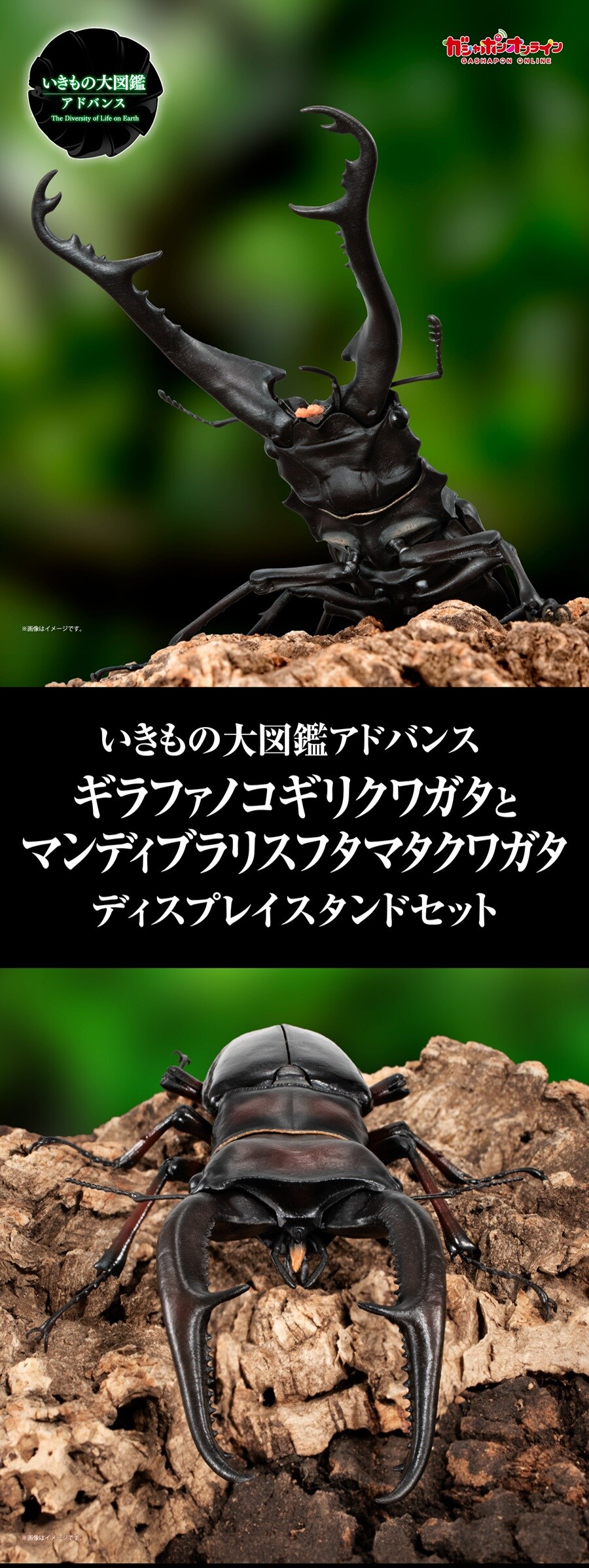 [반다이 가샤폰] 생물대도감 어드밴스 기라파톱/만디블라리스큰턱 사슴벌레_1.jpg