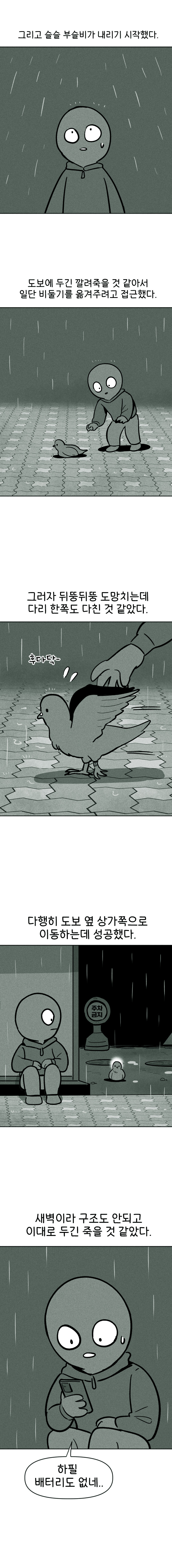 비둘기 구조하는 만화_4.jpg