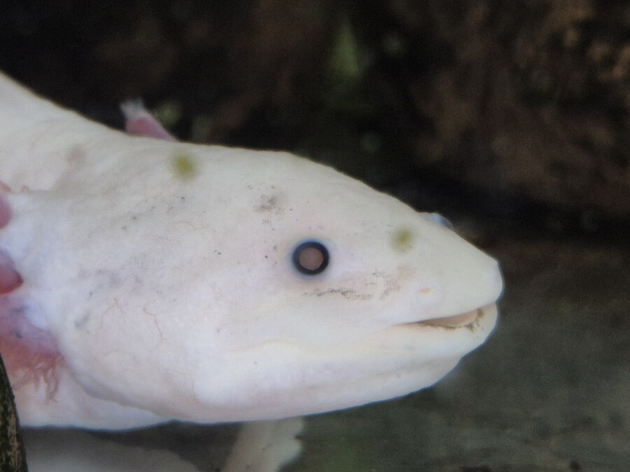 수조)무언가를 키운다는건.._1.jpg