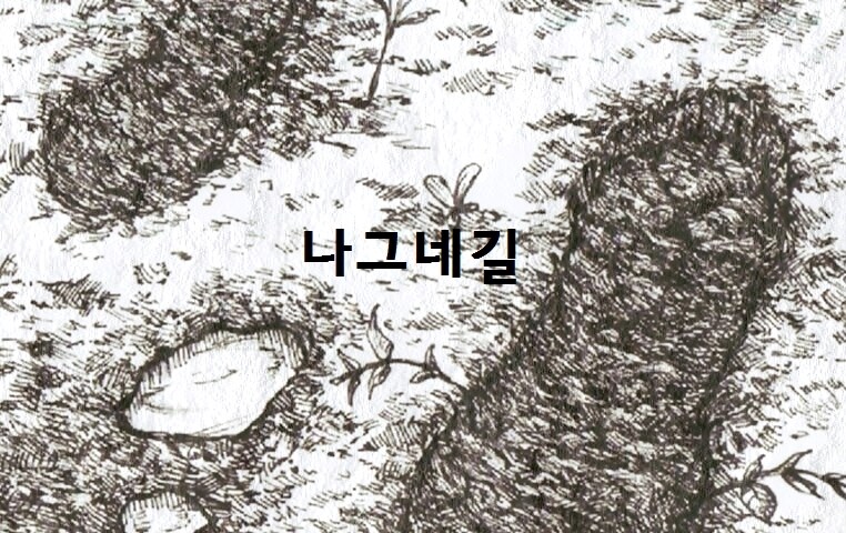 절대자 6.5화(상) - 둘만의 여행_24.jpg