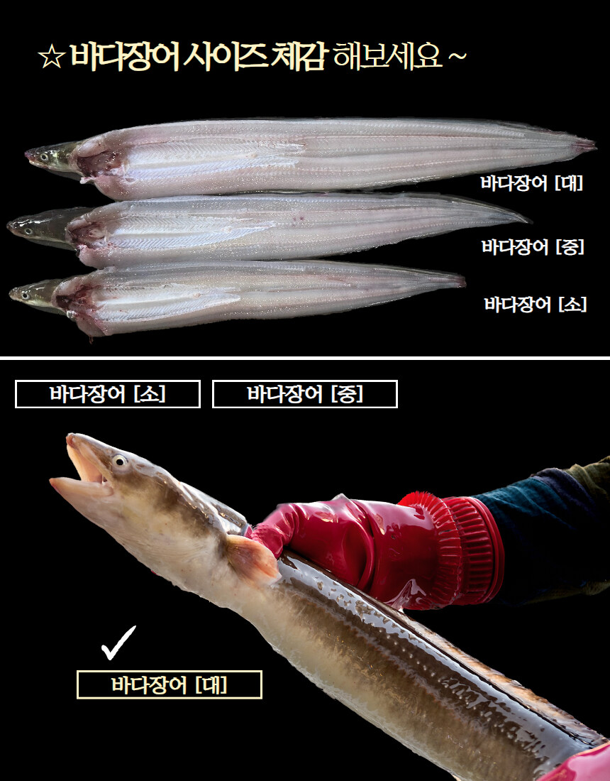 [네이버] 경남 통영 바다장어 1kg가 2만원이 안되네요!?_9.jpg