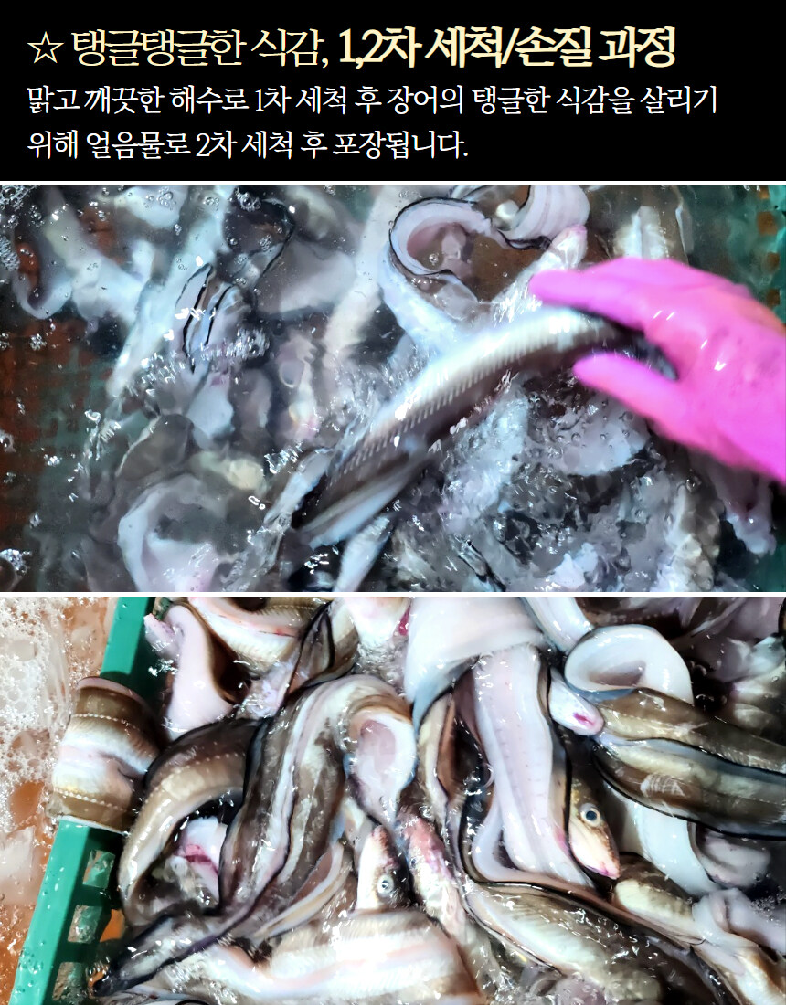 [네이버] 경남 통영 바다장어 1kg가 2만원이 안되네요!?_10.jpg