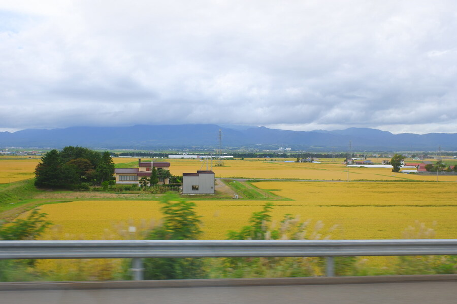 북쪽의 대지, 홋카이도 여행 4부 (비에이)_1.jpg