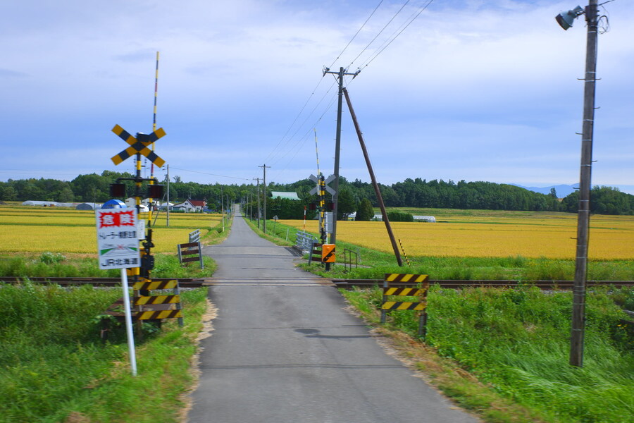 북쪽의 대지, 홋카이도 여행 4부 (비에이)_4.jpg