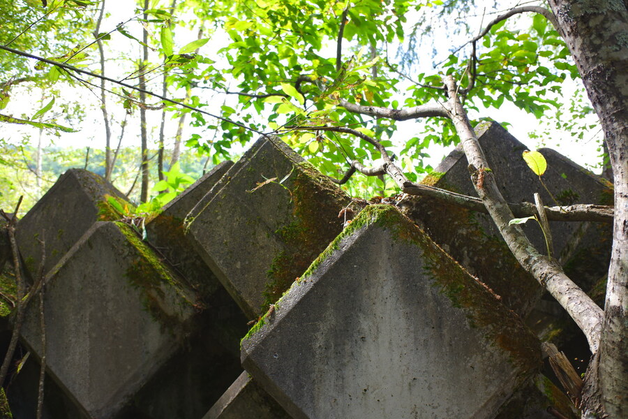 북쪽의 대지, 홋카이도 여행 4부 (비에이)_35.jpg