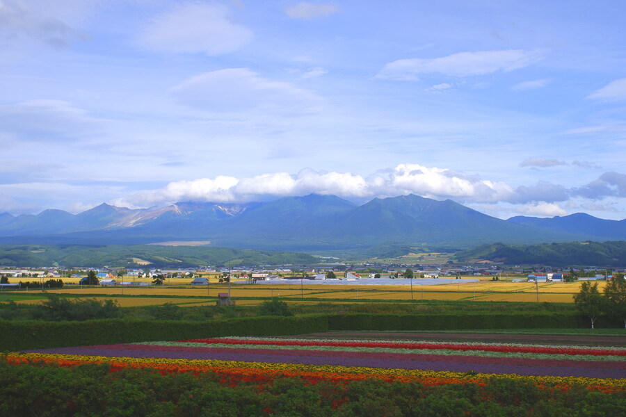 북쪽의 대지, 홋카이도 여행 4부 (비에이)_66.jpg