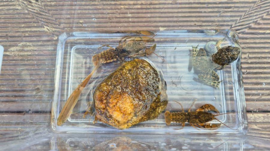 (강화도) 캠린이 아빠의 네번째 캠핑 (with 꼬맹이)_10.jpeg