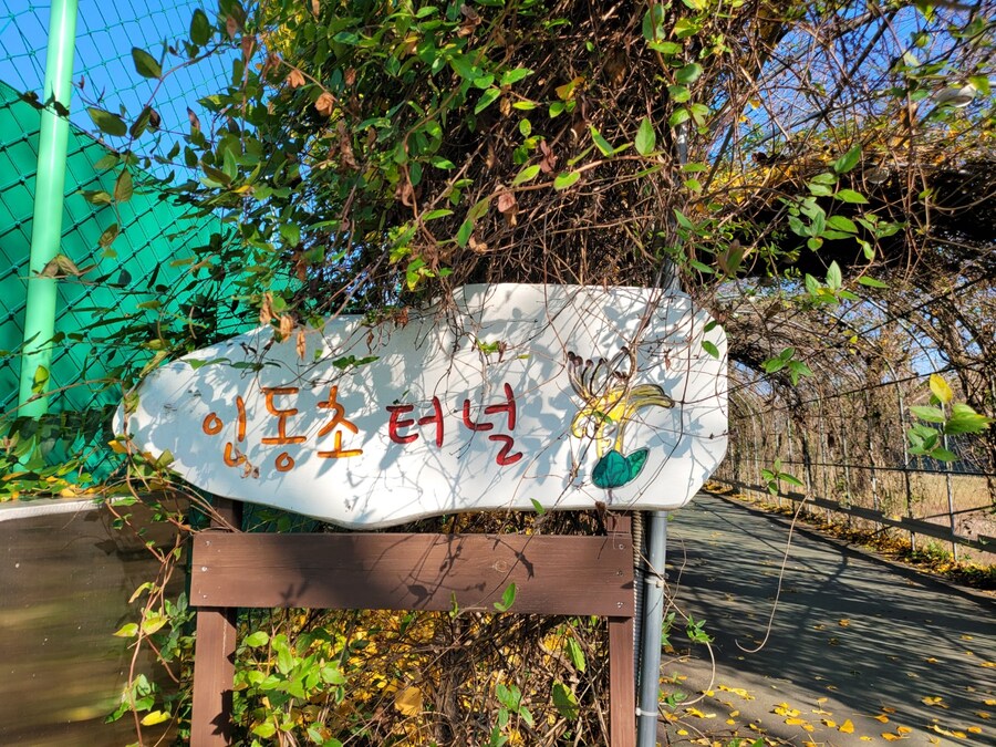 #양평,물소리길 6코스_5.jpg