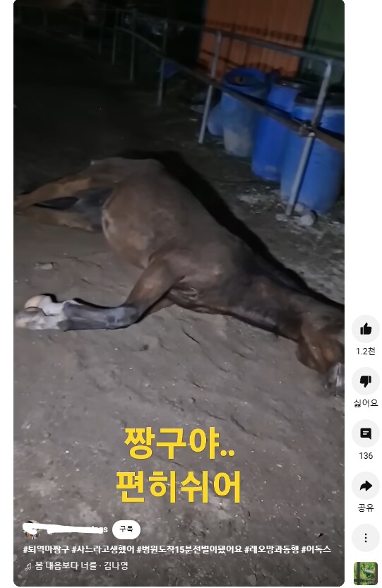 동물보호단체 분들, 속으로 아주 쾌재를 내지를 분들 많겠습니다._4.png