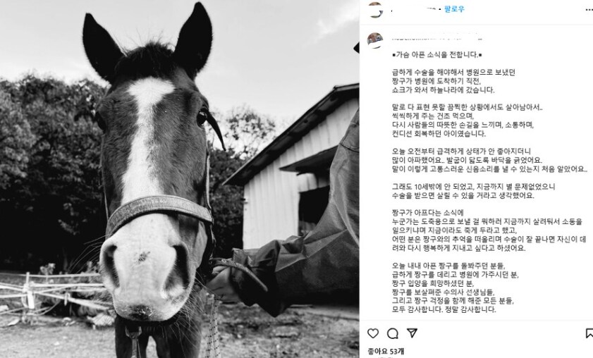 동물보호단체 분들, 속으로 아주 쾌재를 내지를 분들 많겠습니다._1.png