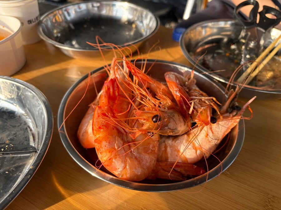 11/8~11/10 몽산포청솔캠핑장_11.jpg