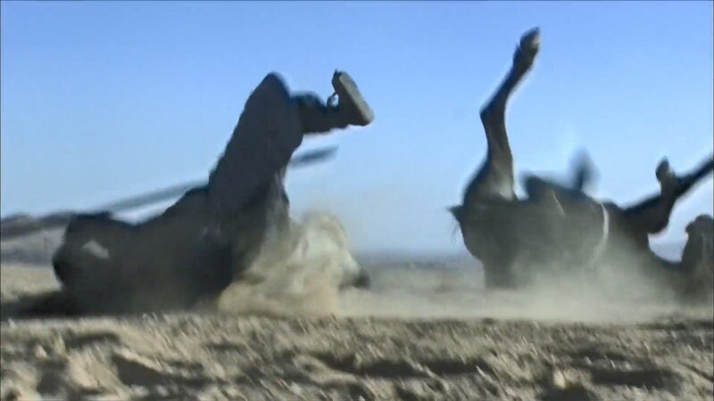 신삼국) 조조 : 그래 내가 죽였다, 내가 네놈의 아비를 죽였다, 어쩔껀데 ㅋㅋ_18.jpg