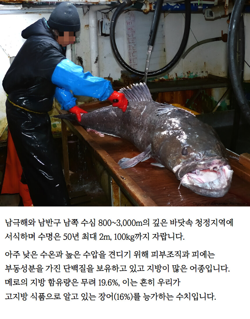 [네이버] 3차 완판 예정, 메로매운탕 목살구이가 3만원대~!!_7.jpg