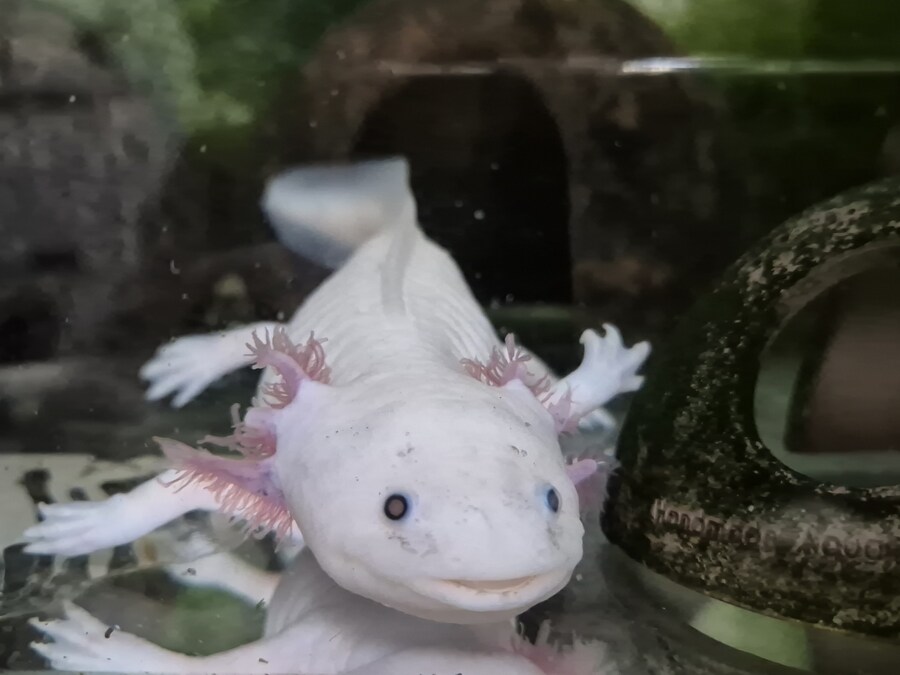 수조)집에서 나온 헌바_1.jpg