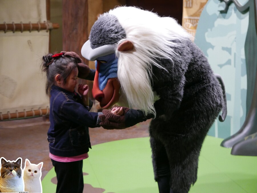 이거시 공산의 디즈니랜드다_21.jpg