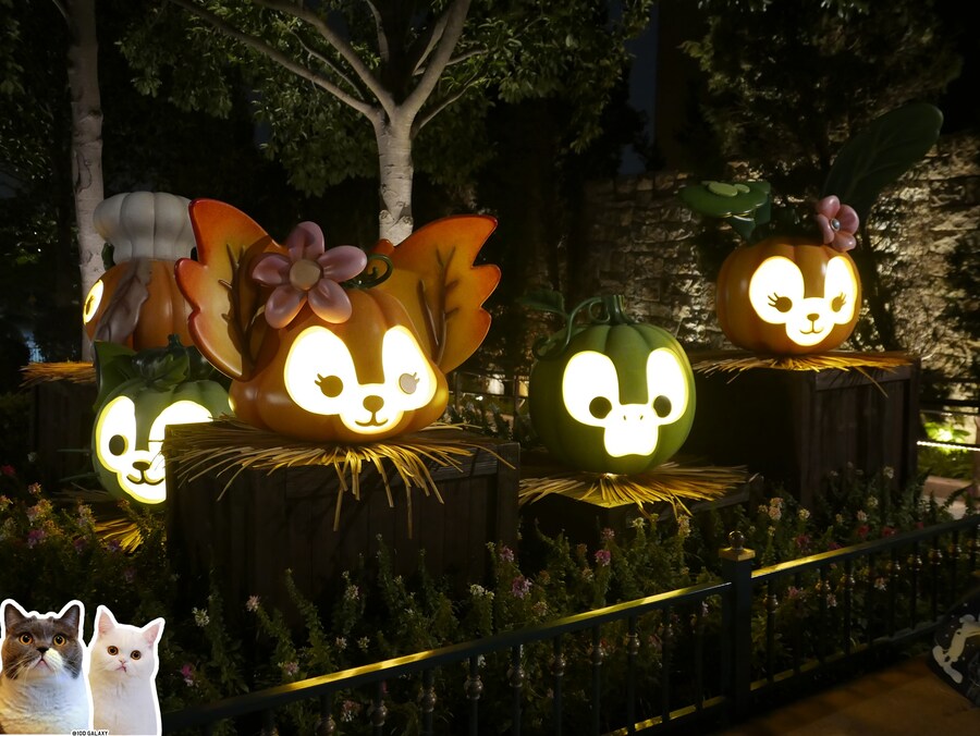 이거시 공산의 디즈니랜드다_32.jpg