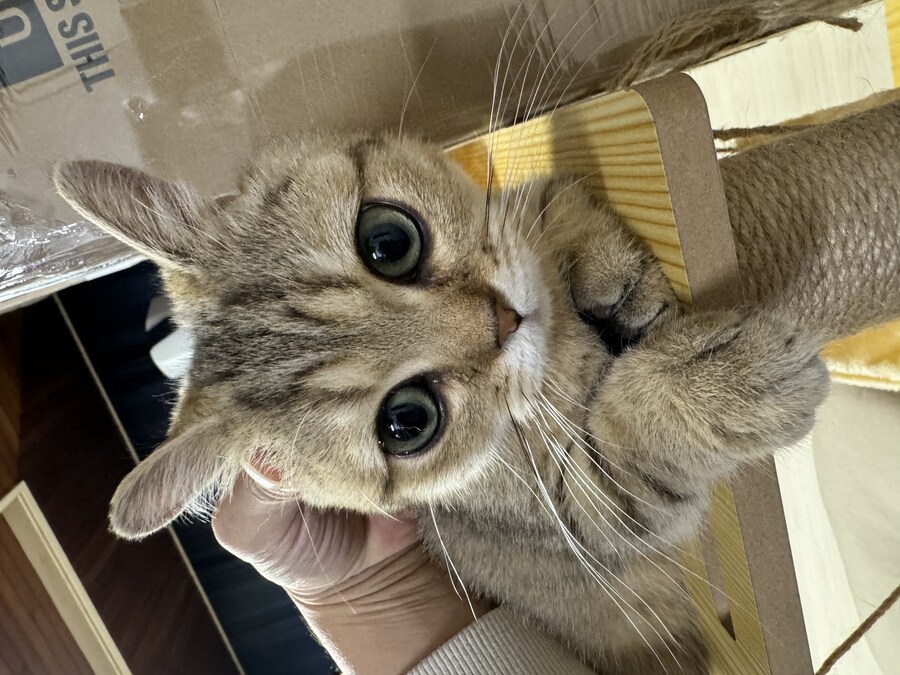 짹슨이 근황입니다^^_2.jpg