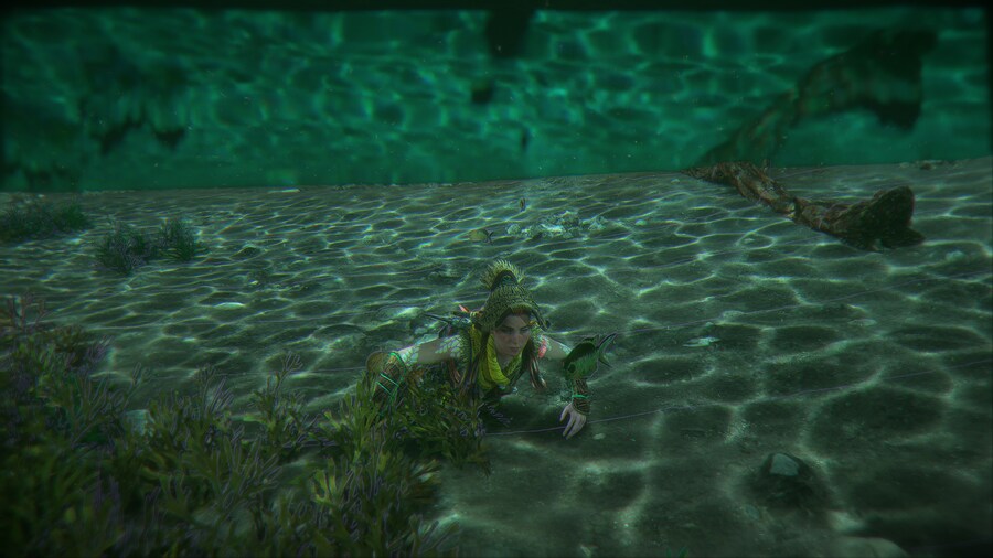 물속 환경, 날개 활공 너무 멋집니다._2.png