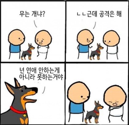 공격성 장난아닌 강아지. JPG_1.jpg