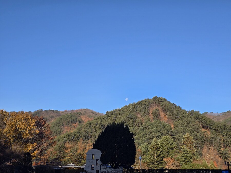 32개월 조카도 함께 한 결혼 40주년 기념 가족 여행_63.jpg