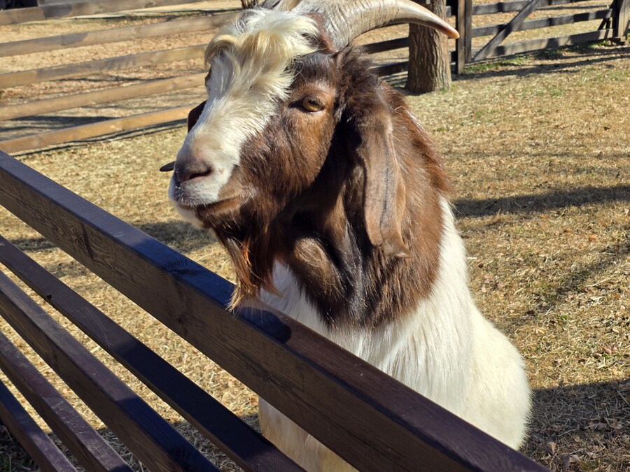 32개월 조카도 함께 한 결혼 40주년 기념 가족 여행_67.jpg