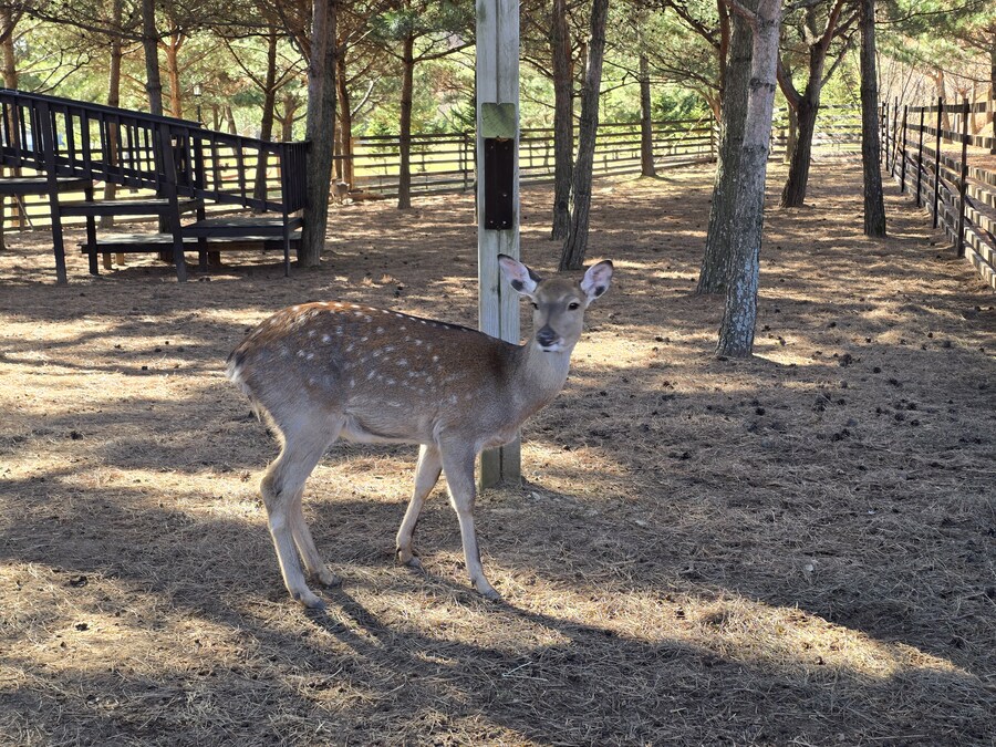 32개월 조카도 함께 한 결혼 40주년 기념 가족 여행_68.jpg