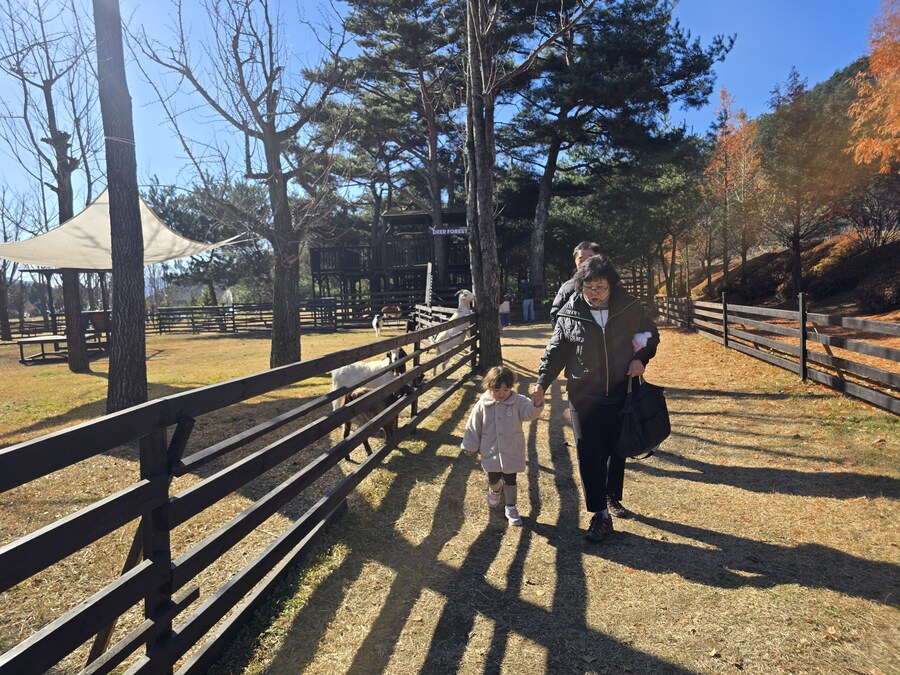 32개월 조카도 함께 한 결혼 40주년 기념 가족 여행_71.jpg