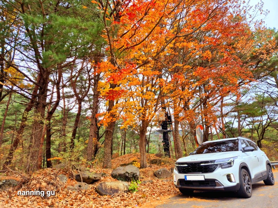 The New Seltos 📷_3.jpg